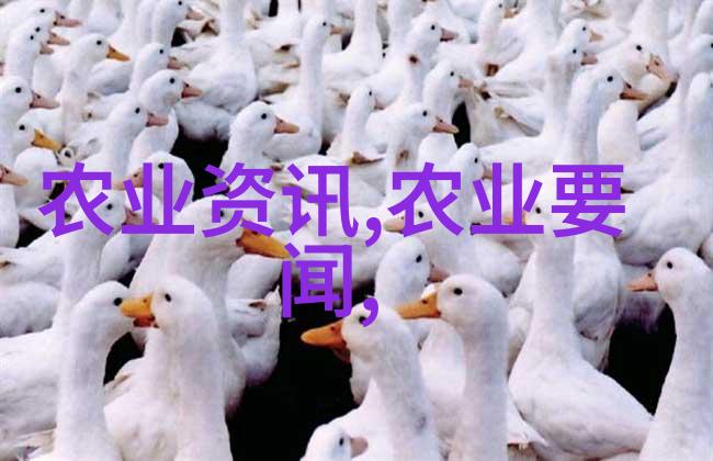 丰收季节家庭菜园管理技巧汇编