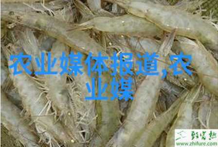 春日忆任讷探索一代歌手的艺术遗产