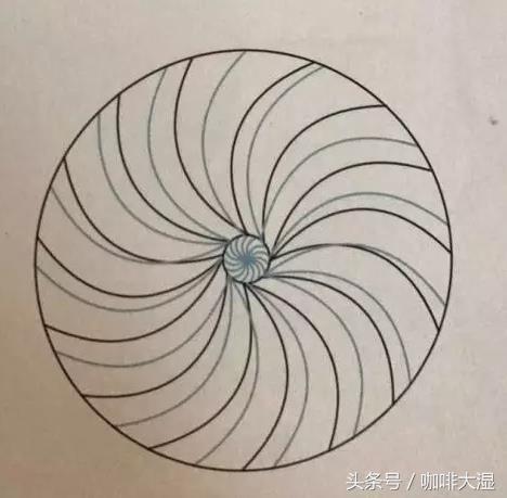 春日佳品60公分广玉兰的市场价值探究