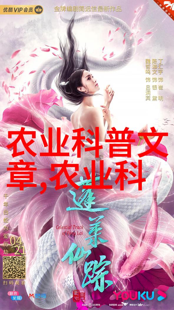 考试技巧分享如何高效答题