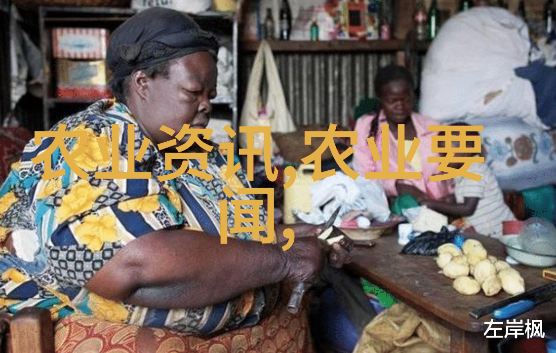 马齿苋翠绿之冠与药用价值的双重生长