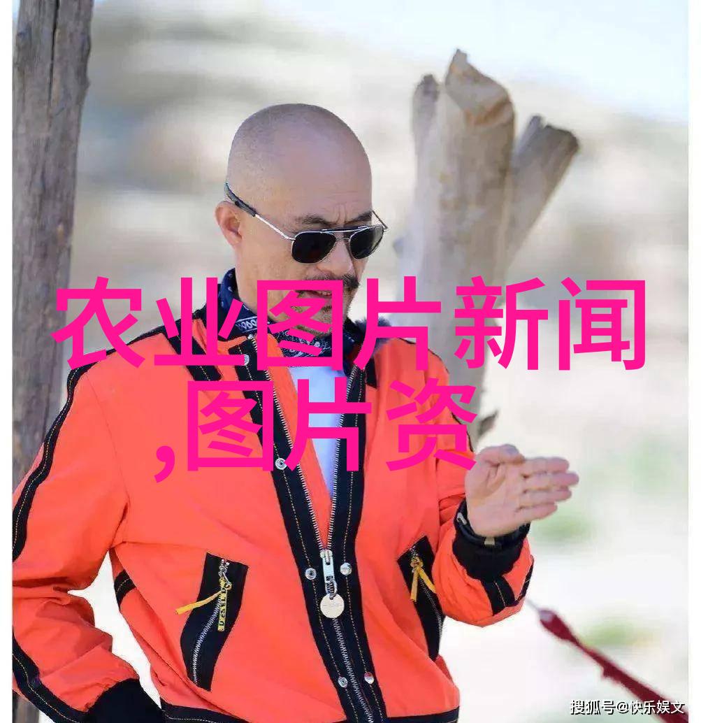 多肉植物爱好-1000种奇妙多肉植物图鉴探索园艺中的自然艺术