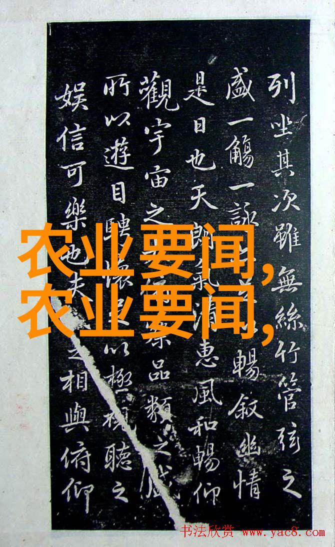 甘蓝菜的营养价值超级食用蔬菜的健康好处