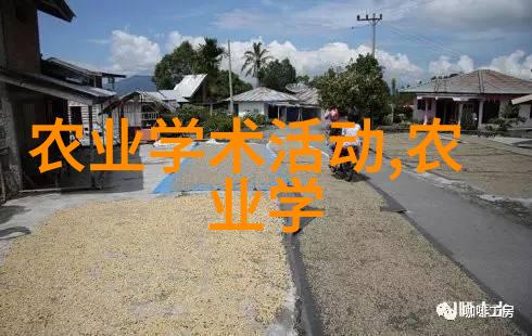 春夏秋冬皆佳果花开满枝头的奇迹树