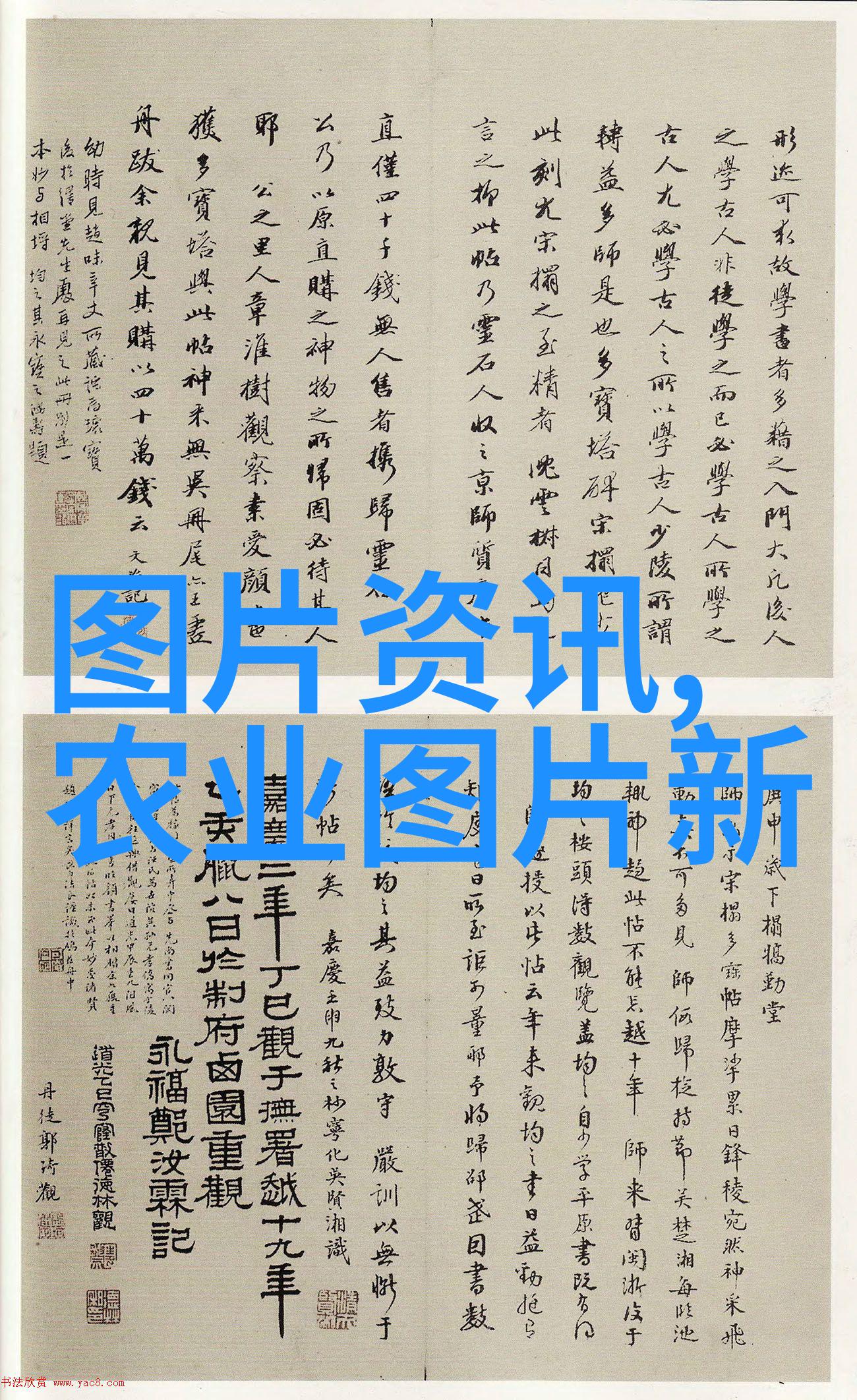 未来农业发展趋势与优选种植项目分析
