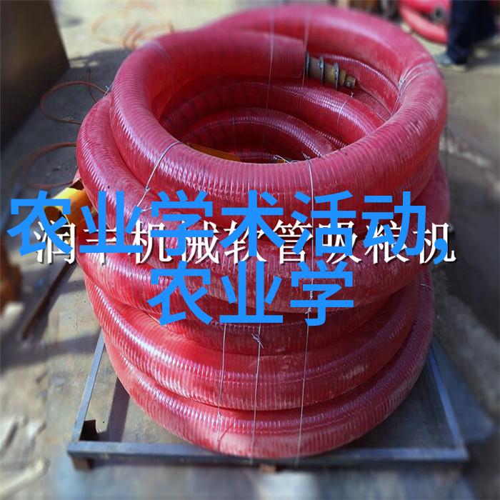 还剑奇情录断魂谷的秘密