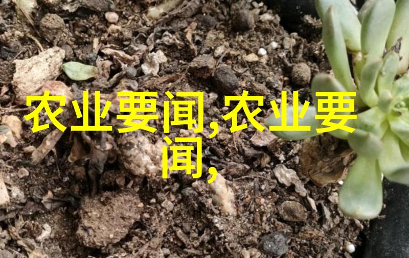 谷鸟水果的种植方法-如何高效种植和养护谷鸟水果