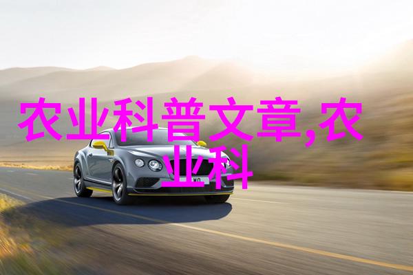 楼雨晴错综复杂的命运交织