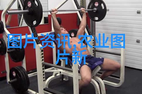 花卉栽植的方法及要点种植技巧土壤准备光照需求水分管理施肥原则