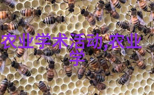 绿色生态环境下的良好品质中药材种植基地建设标准