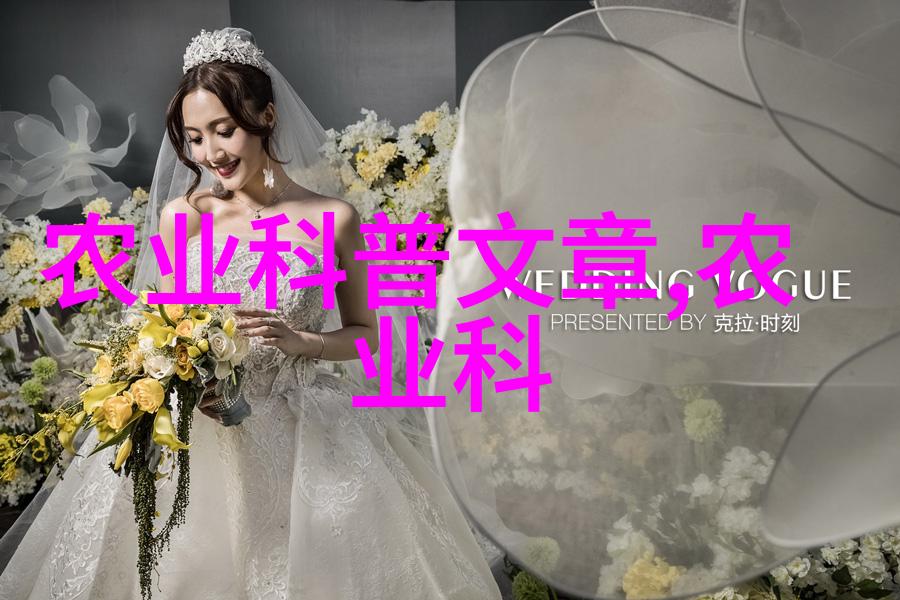 水果蔬菜种子图片-丰收的源头探索水果蔬菜种子的美妙世界