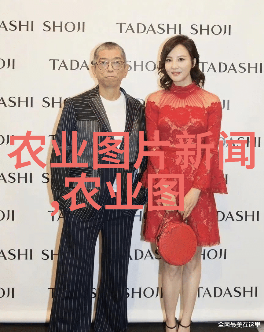 茶余笑谈昵茶网官网的奇趣冒险
