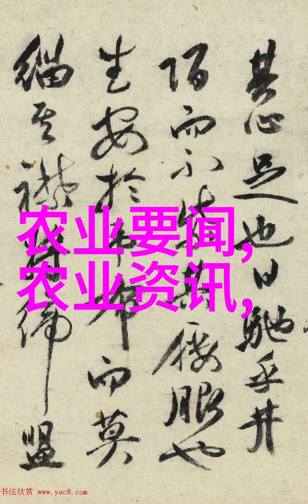 茶韵缤纷揭秘香醇世界的百花齐放