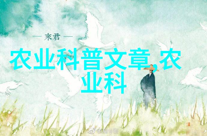 从荒芜到丰收水果种植的逆袭之旅