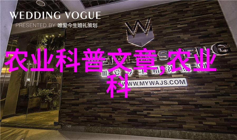 探秘国精产品999揭秘背后的科技与创新