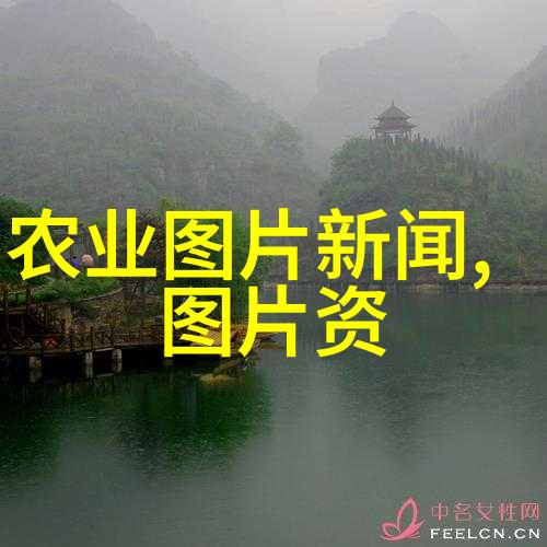 茶叶的历史起源-从山间野生到世界流行茶叶千年传说