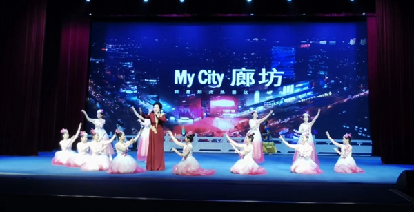 春意盎然的园艺小品五针松的魅力与价格考量