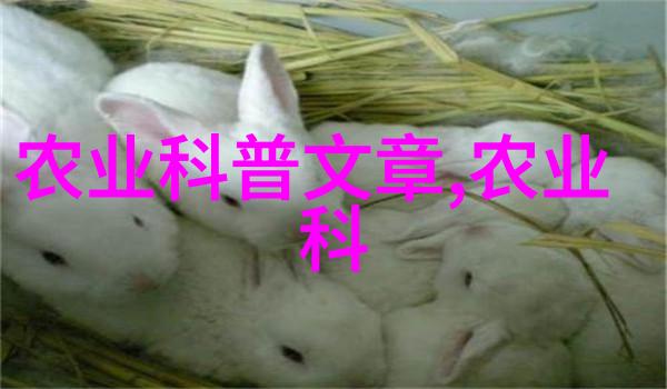 探索中草药6000种图解宝库中的自然疗法