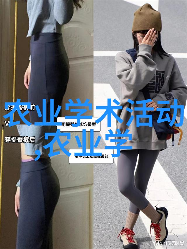 土蜜蜂养殖与管理技术探索自然与效率的平衡