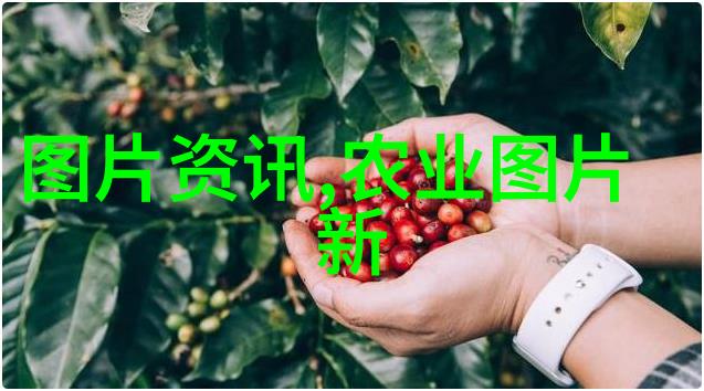 种植技巧如何高效栽培纤维作物