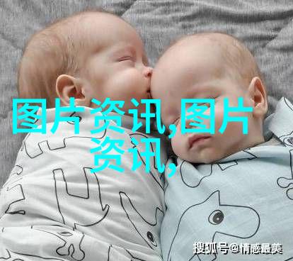 绿茵网土中国蔬菜种植网的创新与发展