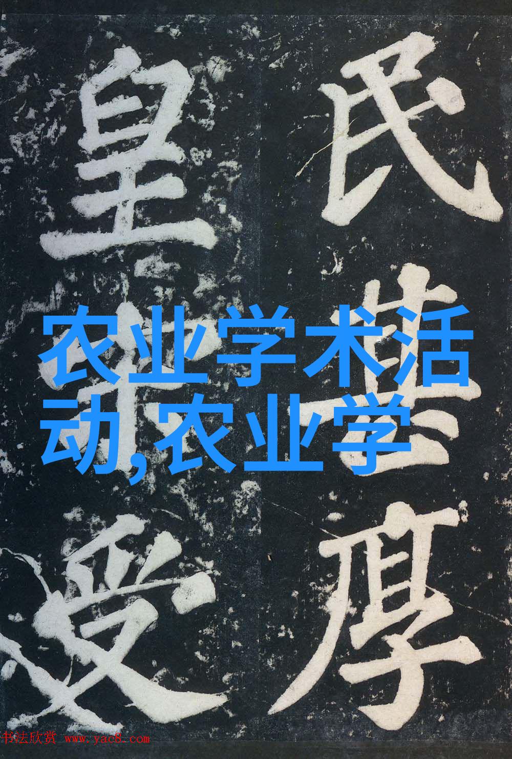 园艺花卉种植我的小花园里的秘诀