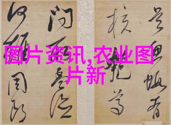 教育领域的改革措施在国家政策新十条中占据怎样的位置