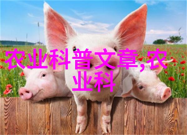 雪菜论探究冬季蔬菜的营养价值与烹饪技巧
