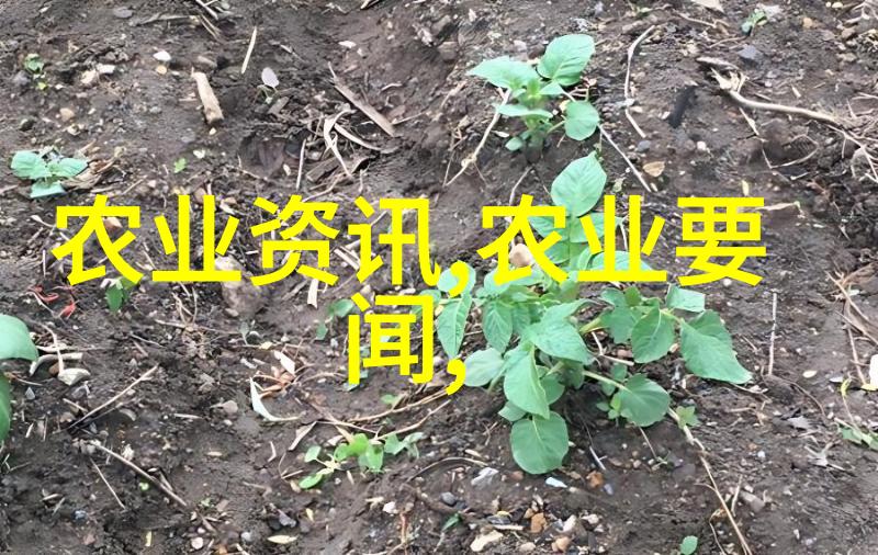 养殖知识-精选羊种揭秘最适合您家园的优质羊品种