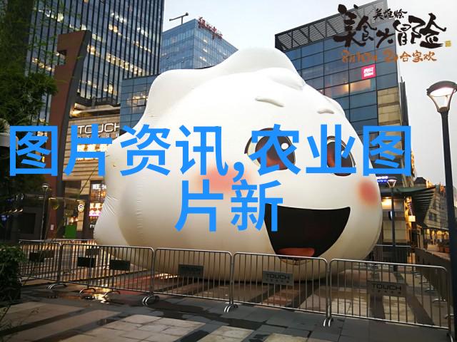 枣树秋日的金黄守护者