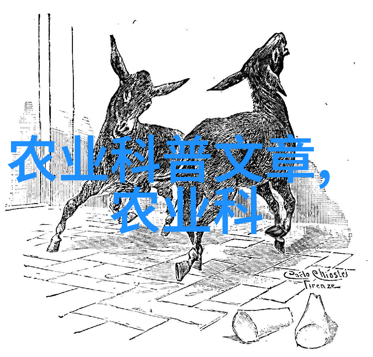 耕耘百科揭秘农业的多样面貌与分类