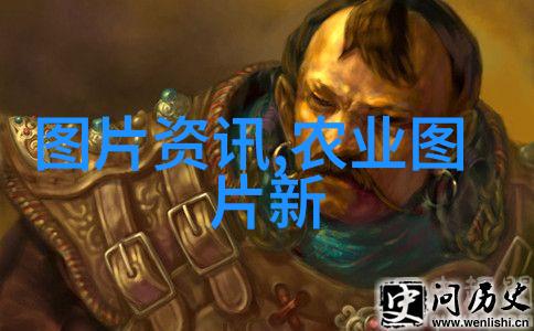 传统养蜂技术古老智慧中的蜂蜜收获