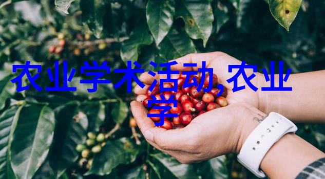 茶的历史介绍简短100字-轻柔岁月茶叶穿越千年的风华