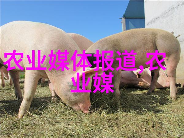 花卉种植技巧-精彩解析如何掌握完美的花卉种植技巧