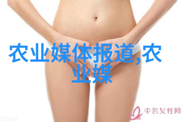 探秘果实世界种子之美在图片中绽放
