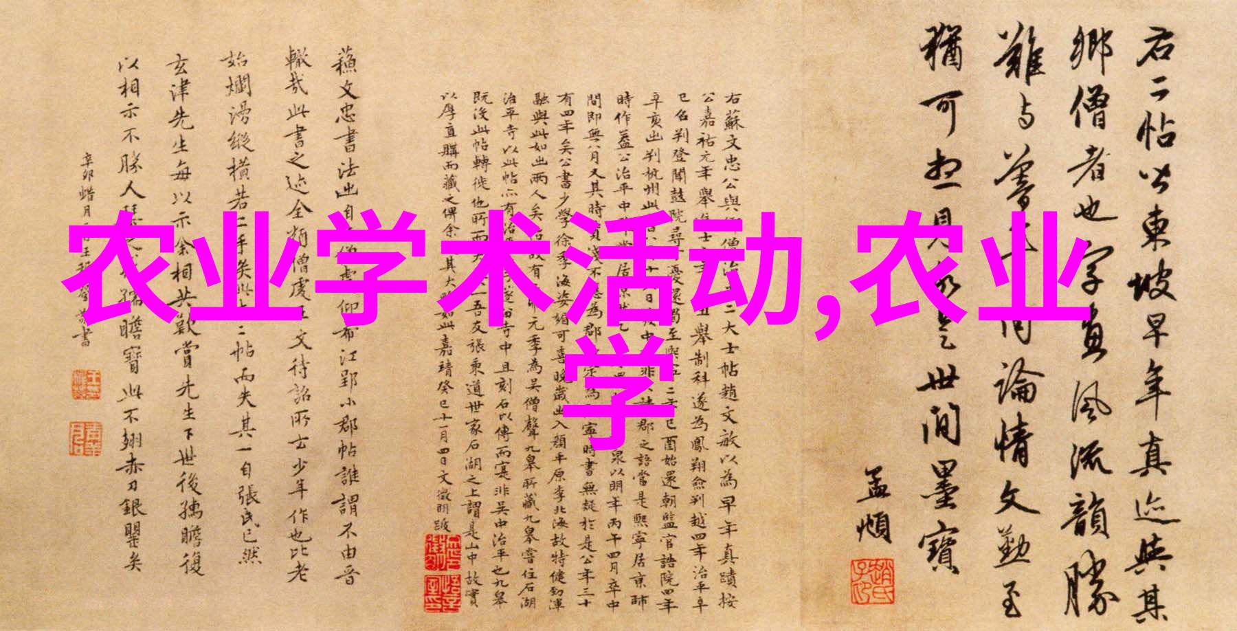 8月至9月最佳种植指南选擅长秋季生长的农作物