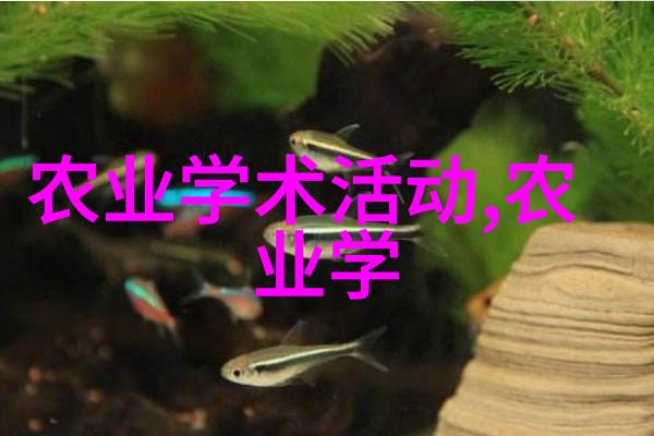 农村养牛致富之路创造财富的金色海洋
