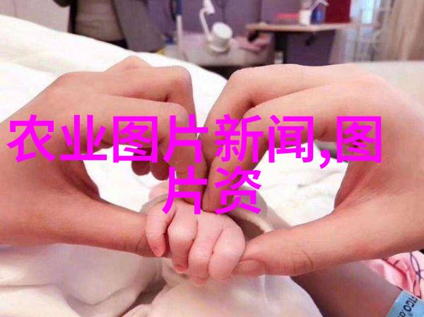 金钱与美丽并存金线 莉花园设计方案分享