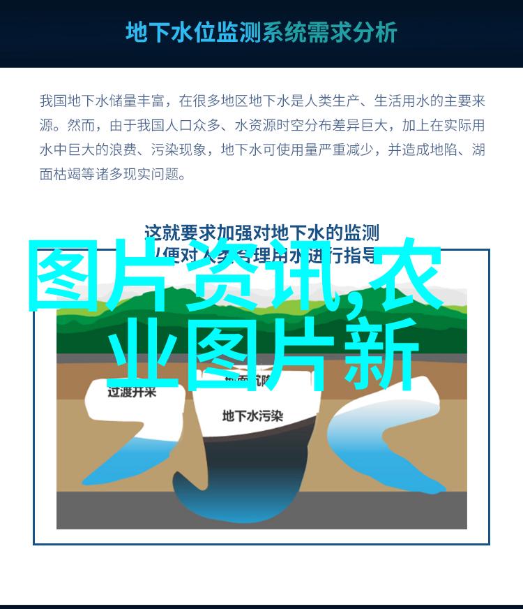 山东黄鳝养殖技艺从泥土到餐桌的智慧之旅