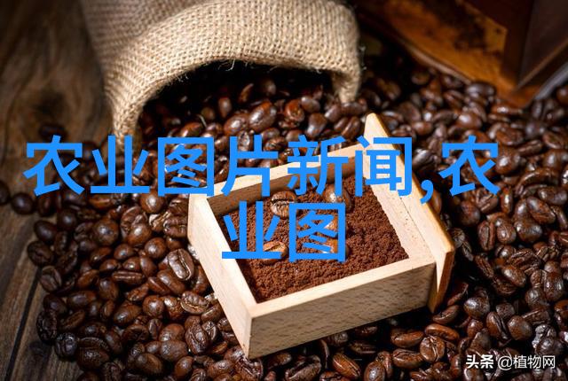 惠农网与一亩田智慧与土壤哪个是现代农业的更好选择