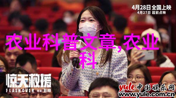 家庭阳台种菜盆我家阳台上的小农场从零到英雄的种菜奇迹