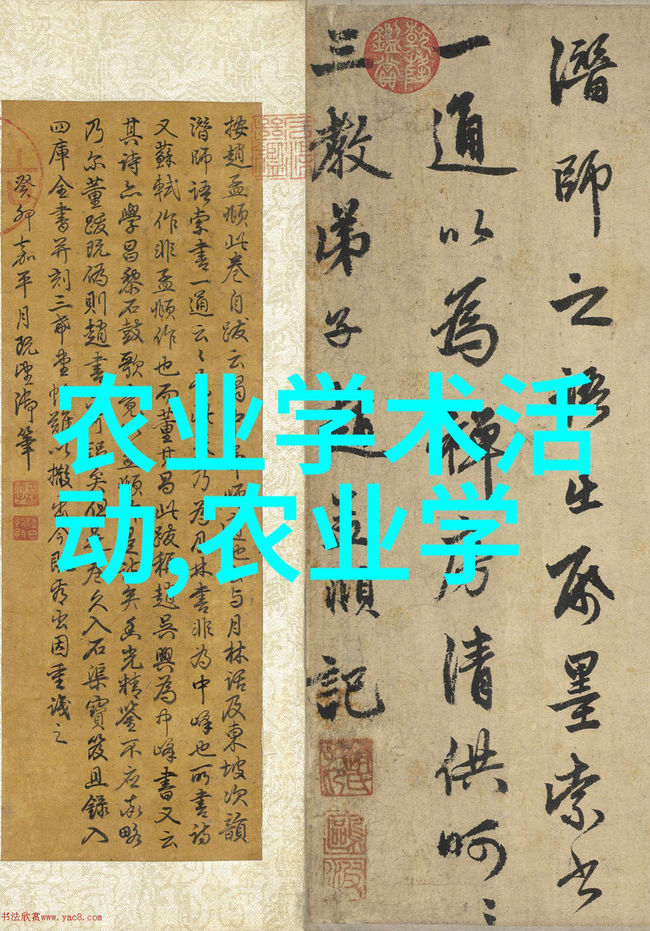 茶香绕梁揭秘正确的茶叶功效说法
