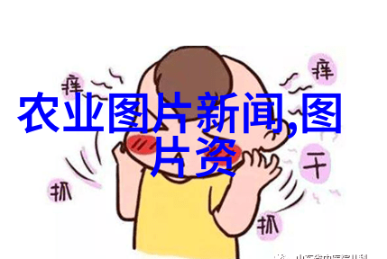 庭院里最适合种植的花卉是什么
