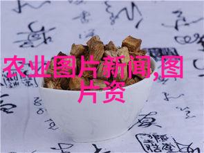 养蜂技巧全集蜜蜂养殖知识大全