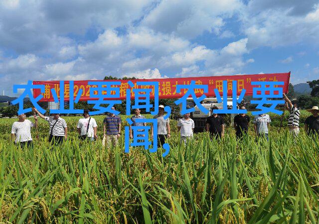 大型农业投资种粮赚钱的策略与风险分析