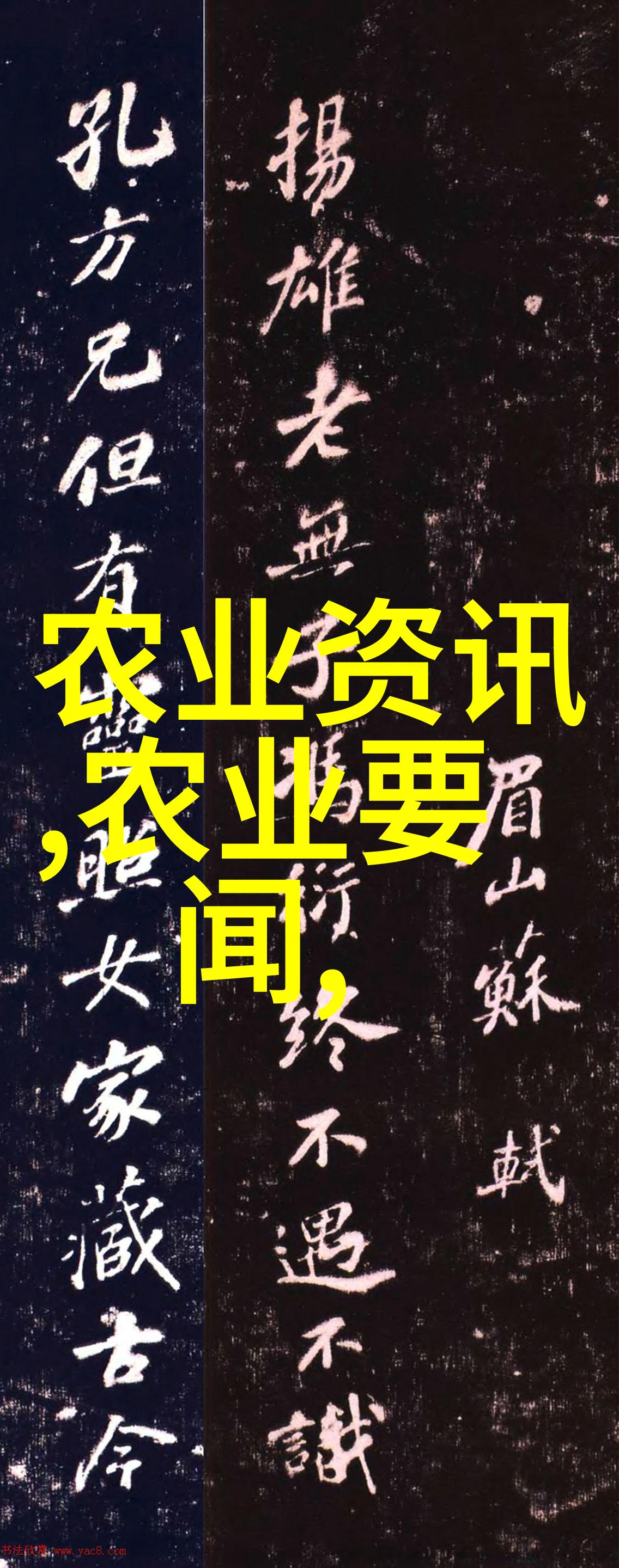 茶香悠扬探索常见茶叶的世界