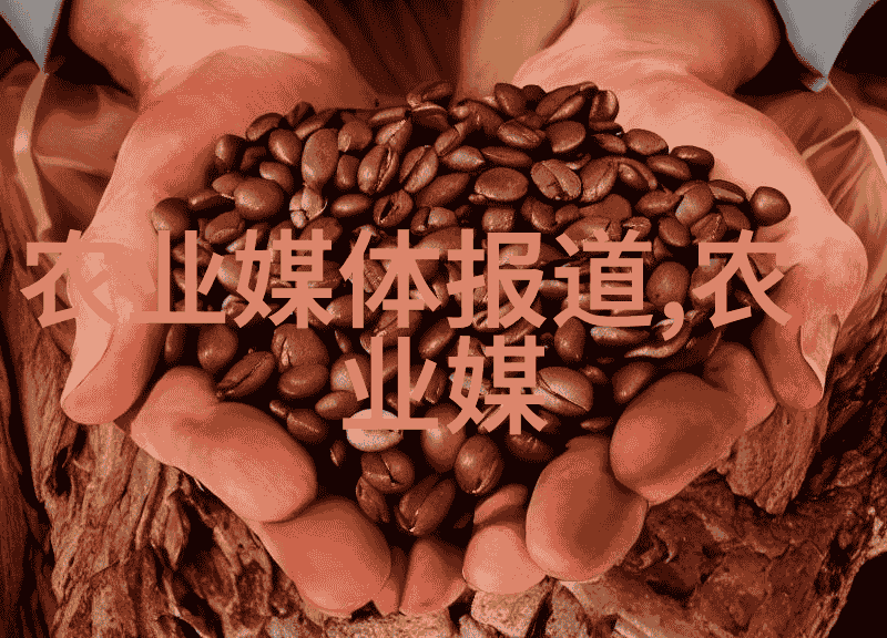 女教师温柔精油按摩舒缓心灵与身体的和谐