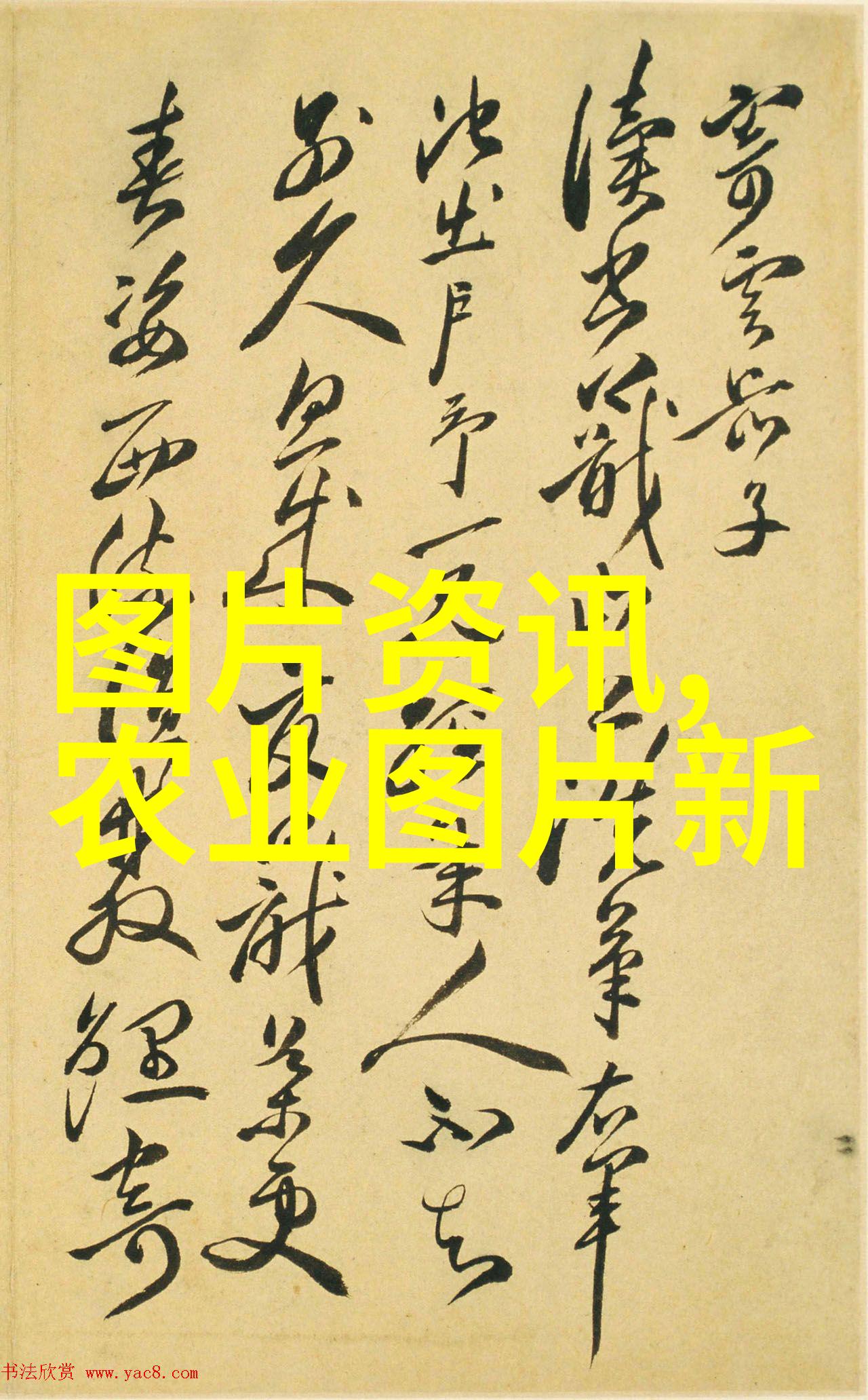 茶香悠扬养生秘籍揭秘喝茶的健康益处