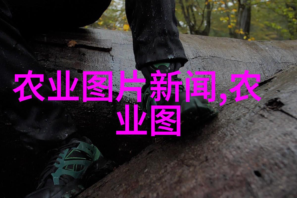 花园之冠选择最美味的阳台水果
