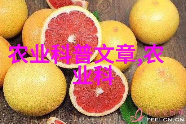 如 何 理 解 现 代 农 业 与 传 统 农 业 之 间 的 差 异